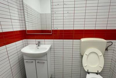 Stefan cel Mare 104 mp vitrina 12 m vizibilitate buna - 2