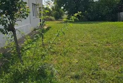 Casă cu 3 camere cu Teren 1400 Mp în Apa - 1