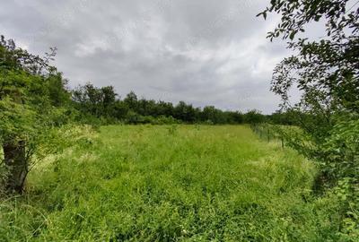 Teren intravilan 18.645 mp in Satul Santamaria de Piatra (sat apartinator Orasului Calan) din Jud HD - 9
