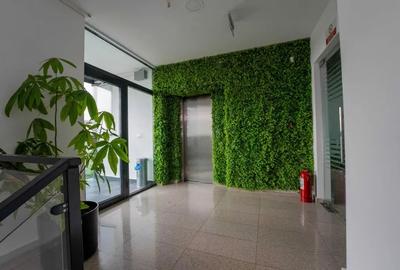 Spatii birouri | Chiajna | Disponibil imediat - 2