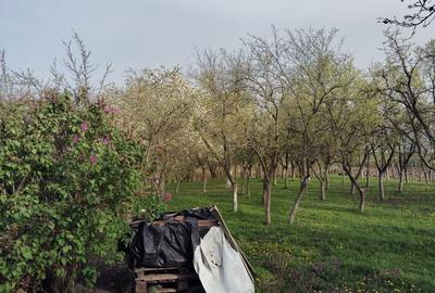 Casă cu 3 camere în Mișca - 5