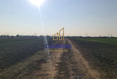 Teren intravilan de vanzare - zona industriala Domnesti/A1 - 4