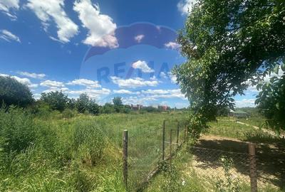 Vanzare Teren 500mp Bolintin-Vale / Strada Bancii - 2