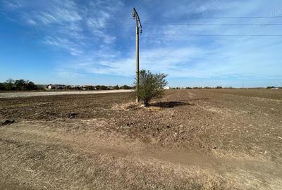 Teren de 2500 mp, în Valu lui Traian - 4