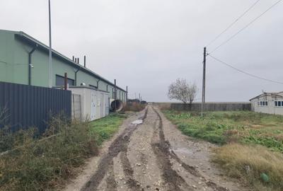 Topraisar langa Biosera Sofra teren 4649 mp cu hala 347 mp - 2