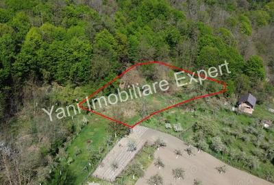 Teren de vanzare in Baicule?ti, Judet Arge?. - 2