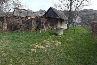 Teren de 3000 mp, în Dumbrăvița - 4