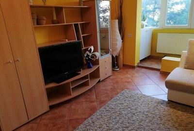 Apartament cu 2 camere decomandat, mobilat în Berceni - 3