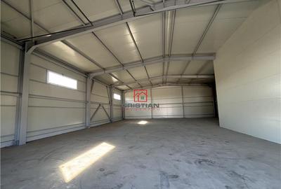 Spațiu comercial, de 1,000 mp, în Chitila - 6