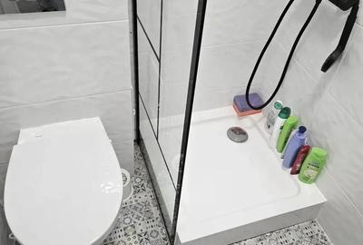 CI617 Telegrafului-Lorena,1 camera,Renovata - 1