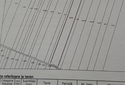 Teren în Central - 1