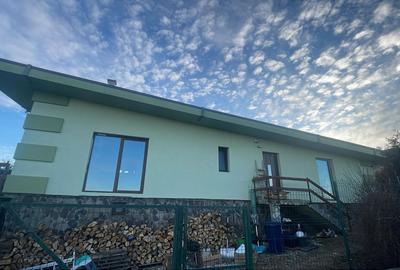 Casa individuala in Salicea D+P finisata mobilata - 1