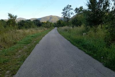 Teren de 2400 mp, în Păucinești - 2