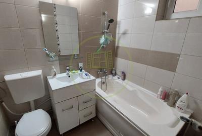 Apartament cu 3 camere decomandat, mobilat în Brazda lui Novac - 5