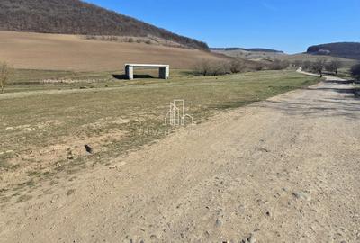 Teren Construcții intravilan de 4362 mp, în Sângeorgiu de Mureș - 9