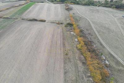 Teren de 11600 mp, în Remetea Mare - 1