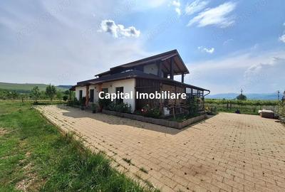 Casa spa?ioasa 4+ camere, Oiejdea, 230m2, 210.000