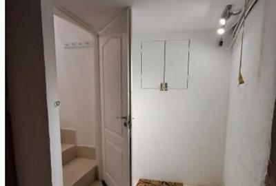 Mosilor eminescu demisol - 11