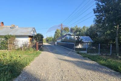 Teren intravilan, 7500 mp in Moara Carp / Strada Eternita... - 11