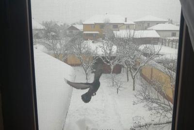 Casă cu 4 camere în Central - 7