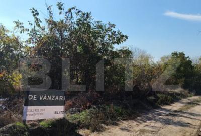 Teren intravilan, 1800 mp, zona Carcea Profi, P+2, deschider - 3