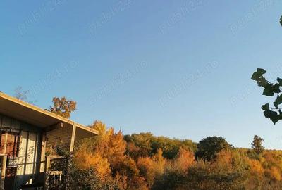 Teren de 1100 mp, în Pișchia - 4