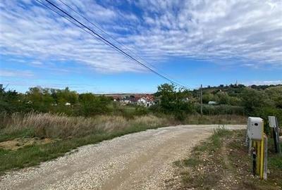 RECO Teren intravilan Paleu 647mp cu Utilitati inclusiv Gaz - 5