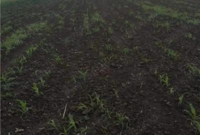 Teren de 5000 mp, în Central - 3