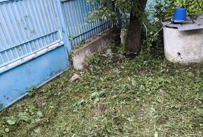 Casă cu 3 camere în Bogdănești - 2