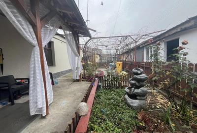 Apartament cu 3 camere, curte comuna, zona Mehala - 1