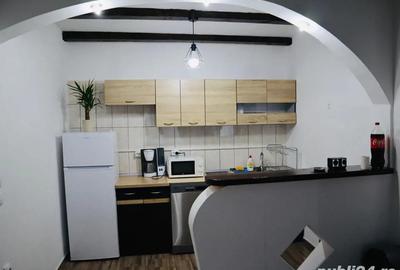 Casa de vacanta Rau Sadului - 3