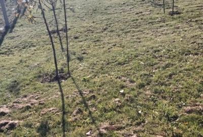 Teren agricol extravilan de 1000 mp, în Florești - 4