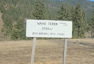 Teren de 5000 mp, în Ortoaia - 3