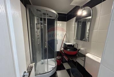 Apartament cu 2 camere de inchiriat in zona Central - 6