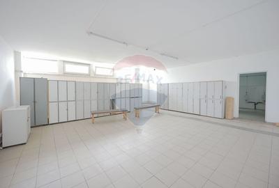 De vanzare spatiu industrial PGS Sofa, calea Borsului - 12