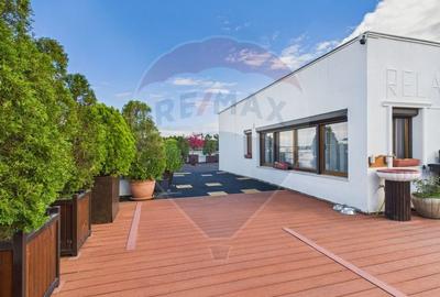 PENTHOUSE spectaculos cu terasa 300 mp - 20