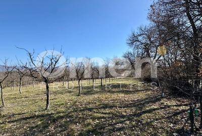 Teren agricol intravilan de 5800 mp, în Berința - 6