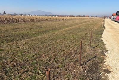 Teren Construcții intravilan de 6000 mp, în Stupini - 2