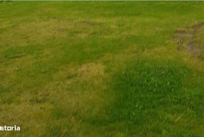 Teren de 1250 mp, în Ceuaș - 1