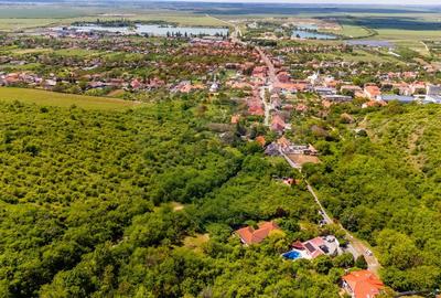 Vila cu 6 camere de vanzare - 32
