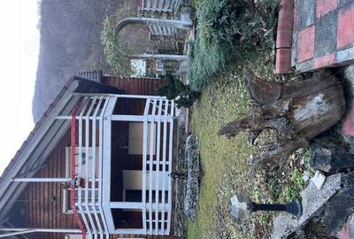 Vanzare casa de vacanta (P+M) si teren (600 mp), zona Valea Ierii, Sacel, jud. Cluj - 4