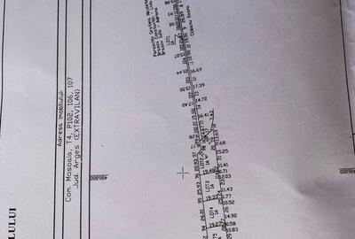 Teren de 14935 mp, în Trivale - 3