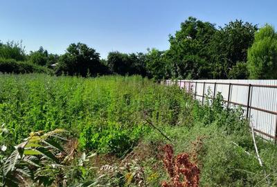 Movilita (IL)-teren de inchiriat aprox. 2 ha stradal, lan... - 11