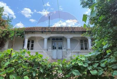 Casă individuală cu 3 camere în Costi