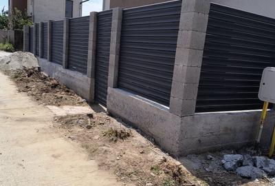 Casă cu 3 camere cu Teren 265 Mp în Paleu - 2