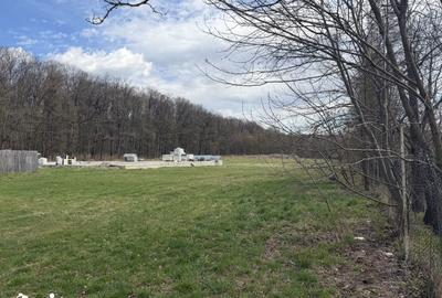 Teren de 9850 mp, în Mitocu Dragomirnei - 1