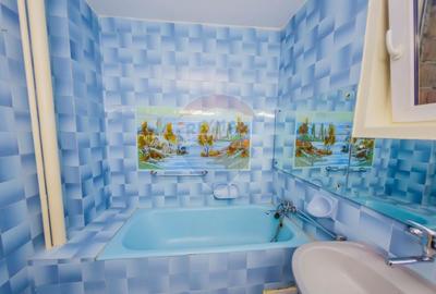 De inchiriat-casa ideala pentru sediu sau spatiu comercial-Parcul Mare - 13