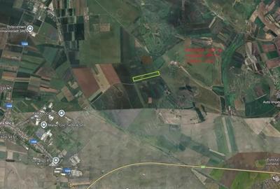 Teren de 36200 mp, în Șura Mică - 1