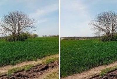 Teren de 3600 mp, în Dascălu - 5