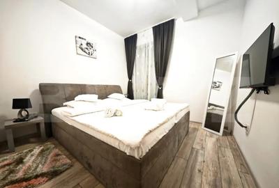 Apartament cu 2 camere decomandat în Băile Felix - 4